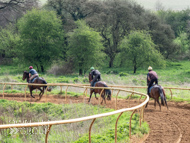 EL290423-26 - Manorbank, Gold Link & Zoran